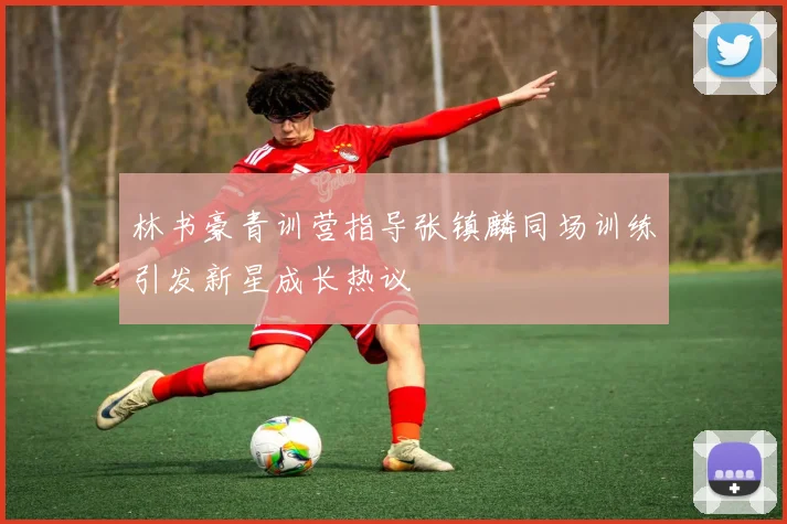 林书豪青训营指导张镇麟同场训练引发新星成长热议